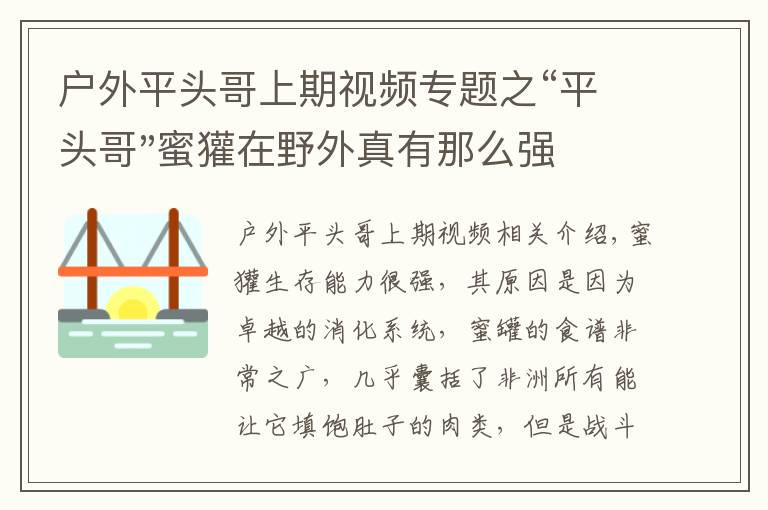 户外平头哥上期视频专题之“平头哥"蜜獾在野外真有那么强吗？真相在这里-户外动物知识