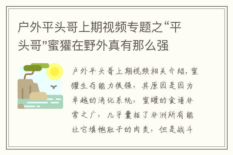 户外平头哥上期视频专题之“平头哥"蜜獾在野外真有那么强吗？真相在这里-户外动物知识