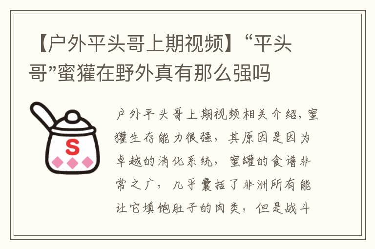 【户外平头哥上期视频】“平头哥"蜜獾在野外真有那么强吗？真相在这里-户外动物知识