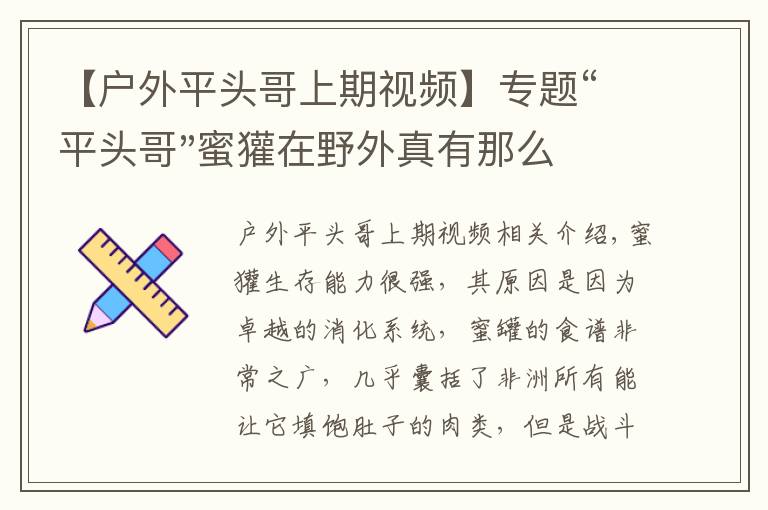 【户外平头哥上期视频】专题“平头哥"蜜獾在野外真有那么强吗？真相在这里-户外动物知识