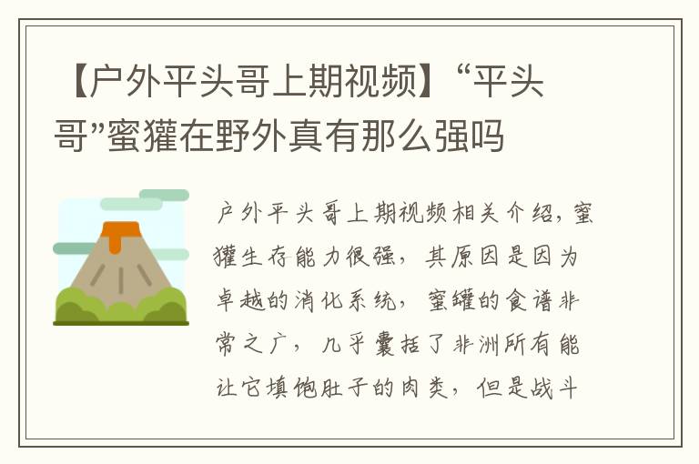 【户外平头哥上期视频】“平头哥"蜜獾在野外真有那么强吗？真相在这里-户外动物知识