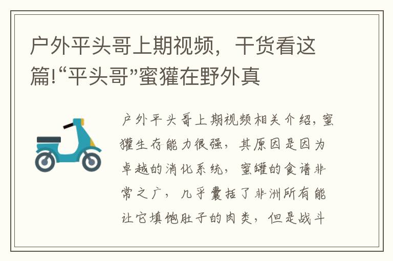 户外平头哥上期视频，干货看这篇!“平头哥"蜜獾在野外真有那么强吗？真相在这里-户外动物知识