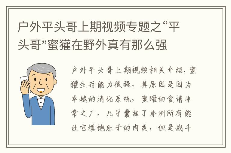 户外平头哥上期视频专题之“平头哥"蜜獾在野外真有那么强吗？真相在这里-户外动物知识