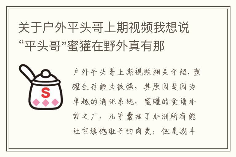 关于户外平头哥上期视频我想说“平头哥"蜜獾在野外真有那么强吗？真相在这里-户外动物知识