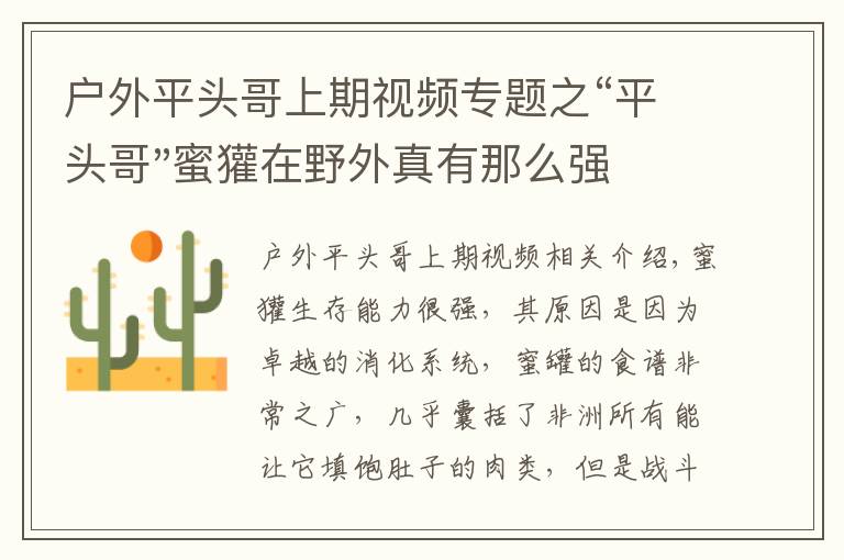 户外平头哥上期视频专题之“平头哥"蜜獾在野外真有那么强吗？真相在这里-户外动物知识