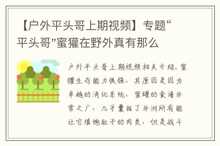 【户外平头哥上期视频】专题“平头哥"蜜獾在野外真有那么强吗？真相在这里-户外动物知识