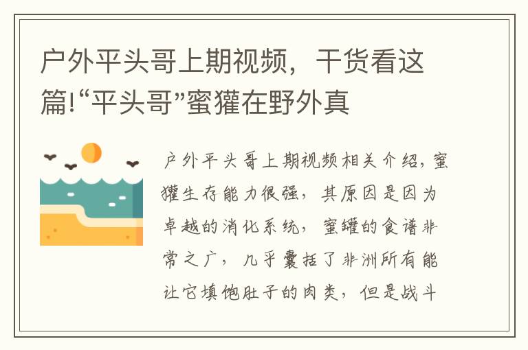 户外平头哥上期视频，干货看这篇!“平头哥"蜜獾在野外真有那么强吗？真相在这里-户外动物知识