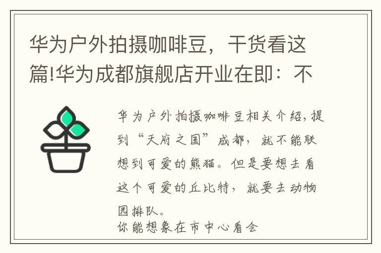 华为户外拍摄咖啡豆，干货看这篇!华为成都旗舰店开业在即：不止产品全，更有趣味交互等你体验