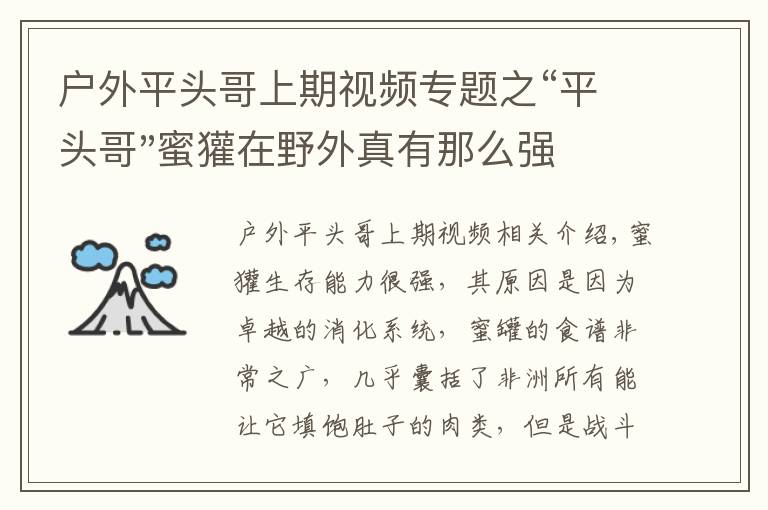 户外平头哥上期视频专题之“平头哥"蜜獾在野外真有那么强吗？真相在这里-户外动物知识