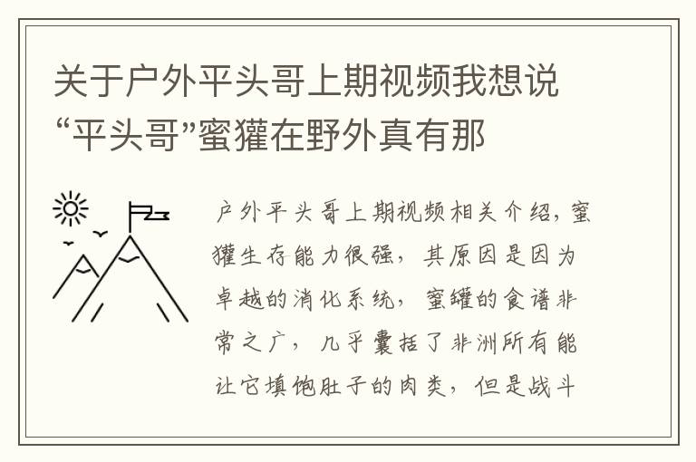 关于户外平头哥上期视频我想说“平头哥"蜜獾在野外真有那么强吗？真相在这里-户外动物知识