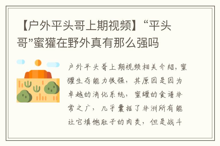 【户外平头哥上期视频】“平头哥"蜜獾在野外真有那么强吗？真相在这里-户外动物知识