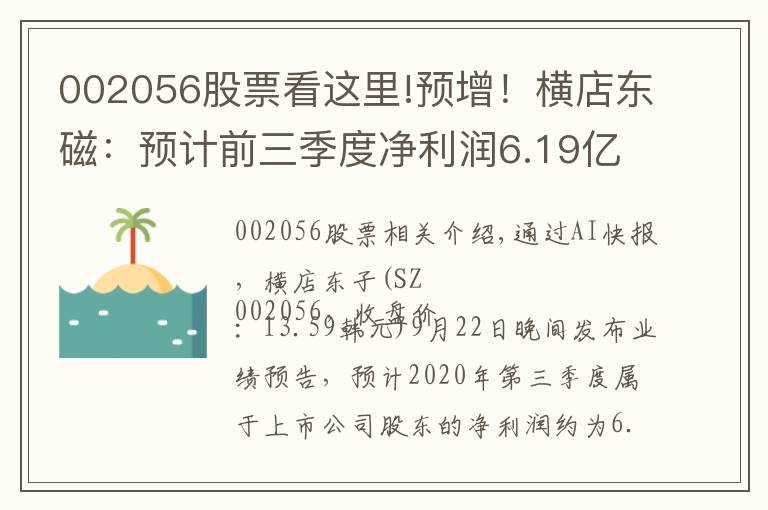 002056股票看这里!预增！横店东磁：预计前三季度净利润6.19亿~6.72亿元，同比增长24%~35%