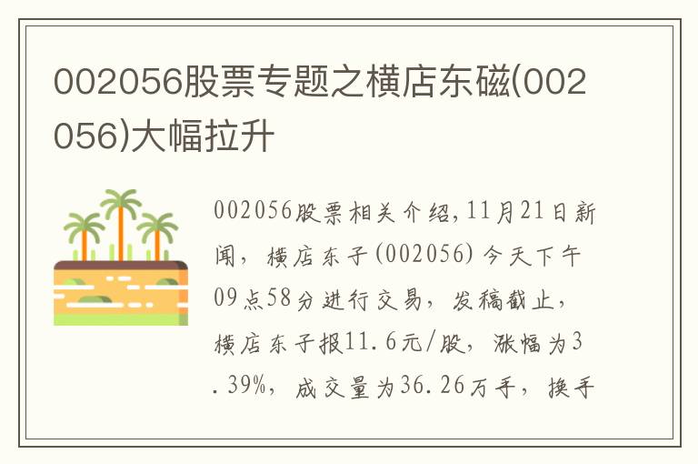 002056股票专题之横店东磁(002056)大幅拉升