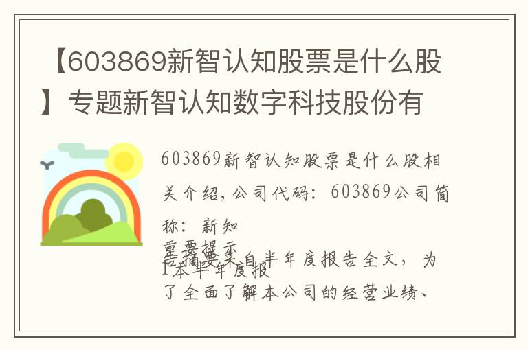 【603869新智认知股票是什么股】专题新智认知数字科技股份有限公司 2020年半年度报告摘要