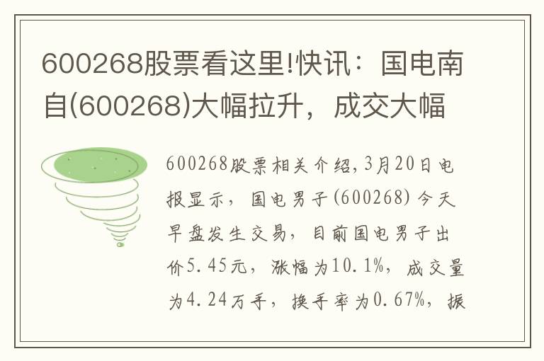 600268股票看这里!快讯：国电南自(600268)大幅拉升，成交大幅放量