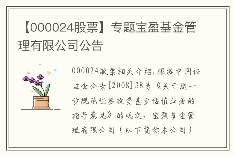 【000024股票】专题宝盈基金管理有限公司公告