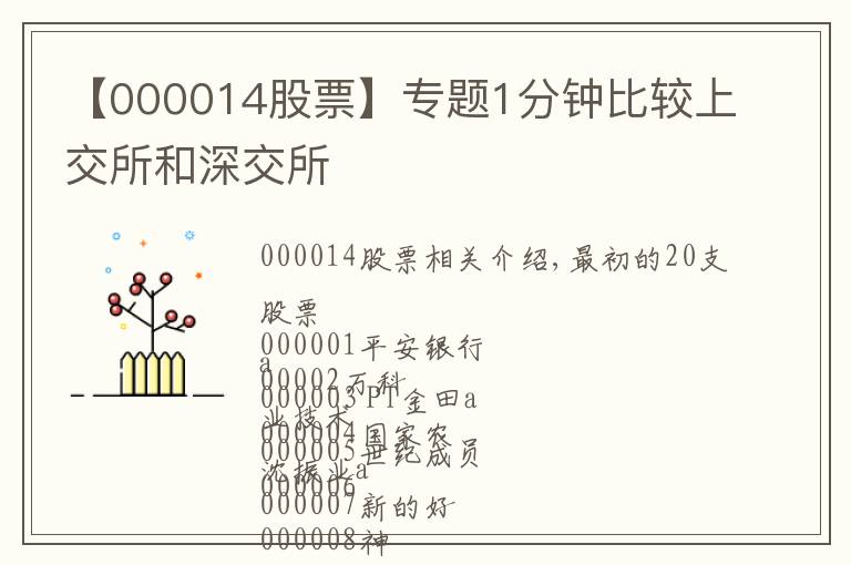 【000014股票】专题1分钟比较上交所和深交所