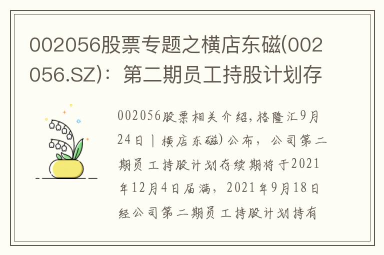 002056股票专题之横店东磁(002056.SZ)：第二期员工持股计划存续期延长至2024年12月31日