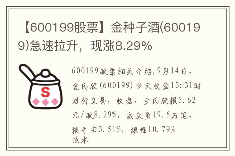 【600199股票】金种子酒(600199)急速拉升，现涨8.29%