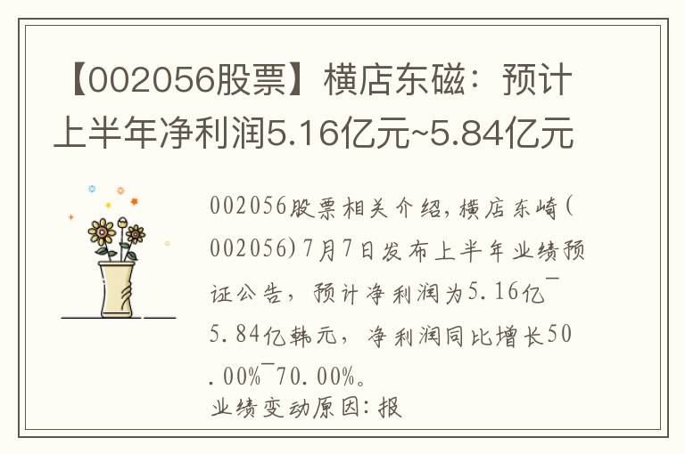【002056股票】横店东磁：预计上半年净利润5.16亿元~5.84亿元 同比增50.00%~70.00%