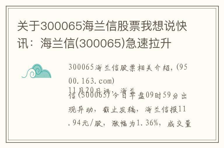 关于300065海兰信股票我想说快讯：海兰信(300065)急速拉升