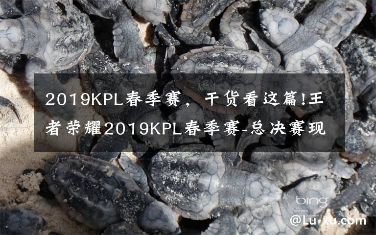 2019KPL春季赛，干货看这篇!王者荣耀2019KPL春季赛-总决赛现场情况，观众已入座，天气不错