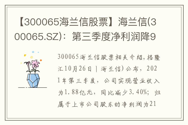 【300065海兰信股票】海兰信(300065.SZ)：第三季度净利润降93.53%至213.9万元