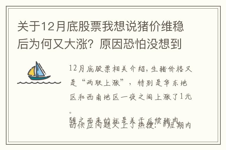 关于12月底股票我想说猪价维稳后为何又大涨？原因恐怕没想到，12月猪价如何？答案来了