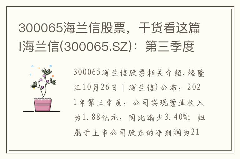 300065海兰信股票，干货看这篇!海兰信(300065.SZ)：第三季度净利润降93.53%至213.9万元