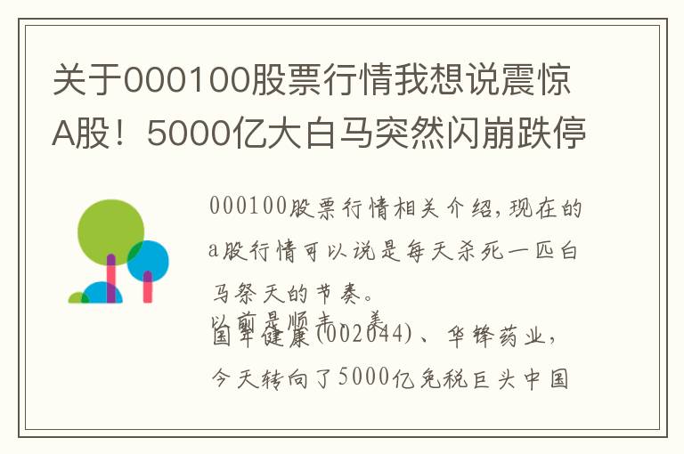 关于000100股票行情我想说震惊A股！5000亿大白马突然闪崩跌停 顶流基金经理重仓股被定点爆破？究竟发生了什么？