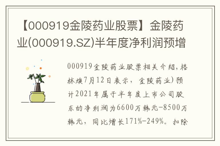 【000919金陵药业股票】金陵药业(000919.SZ)半年度净利润预增171%-249%
