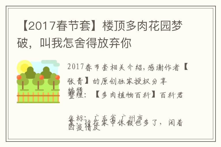 【2017春节套】楼顶多肉花园梦破，叫我怎舍得放弃你