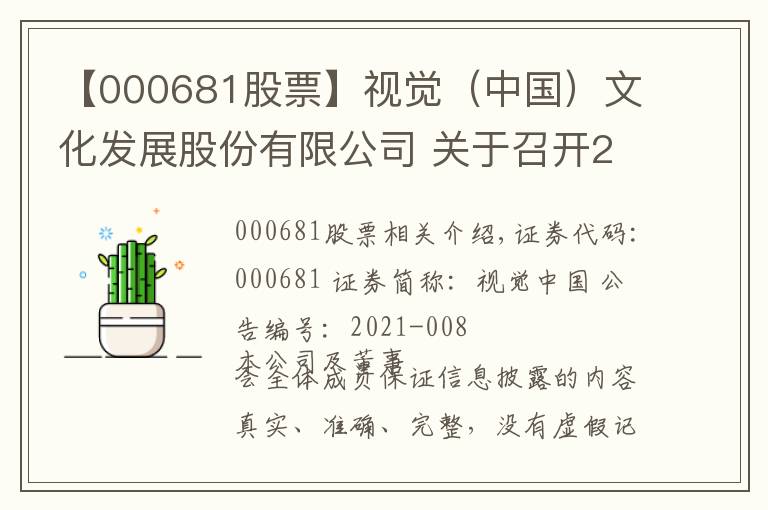 【000681股票】视觉（中国）文化发展股份有限公司 关于召开2021年第一次临时股东大会 通知的公告