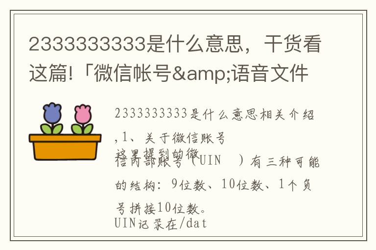 2333333333是什么意思，干货看这篇!「微信帐号&语音文件」结构分析