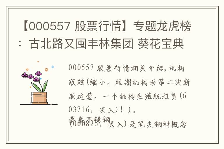 【000557 股票行情】专题龙虎榜：古北路又囤丰林集团 葵花宝典全程拉西部创业