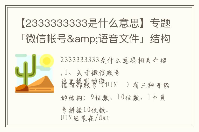 【2333333333是什么意思】专题「微信帐号&语音文件」结构分析