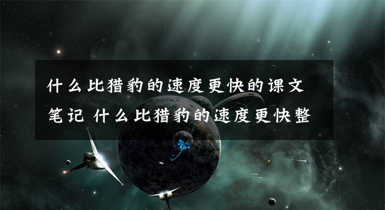 什么比猎豹的速度更快的课文笔记 什么比猎豹的速度更快整理笔记