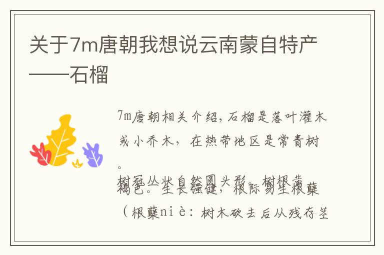 关于7m唐朝我想说云南蒙自特产——石榴