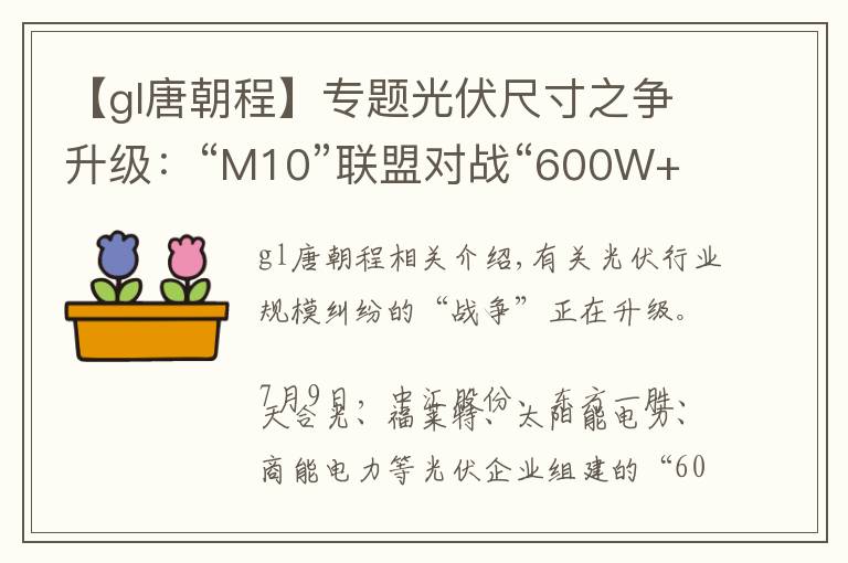 【gl唐朝程】专题光伏尺寸之争升级：“M10”联盟对战“600W+”联盟