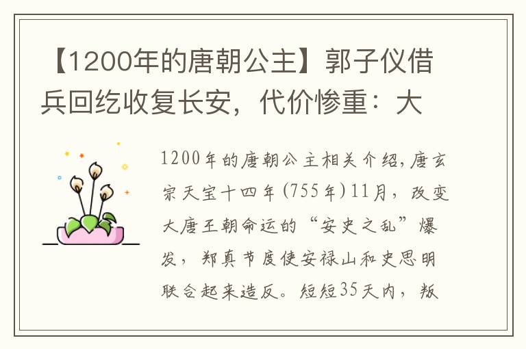 【1200年的唐朝公主】郭子仪借兵回纥收复长安，代价惨重：大唐公主受辱，百姓遭劫