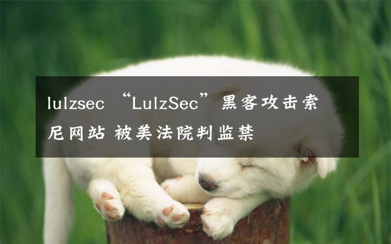 lulzsec “LulzSec”黑客攻击索尼网站 被美法院判监禁