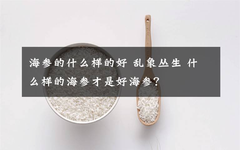 海参的什么样的好 乱象丛生 什么样的海参才是好海参？