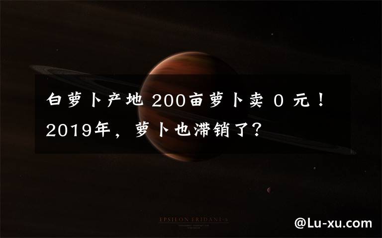 白萝卜产地 200亩萝卜卖 0 元！2019年，萝卜也滞销了？