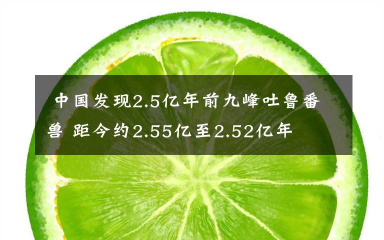  中国发现2.5亿年前九峰吐鲁番兽 距今约2.55亿至2.52亿年