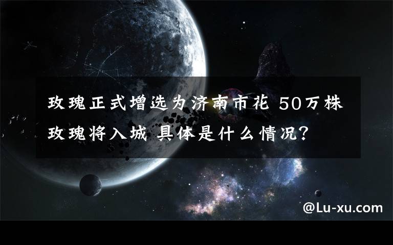 玫瑰正式增选为济南市花 50万株玫瑰将入城 具体是什么情况？