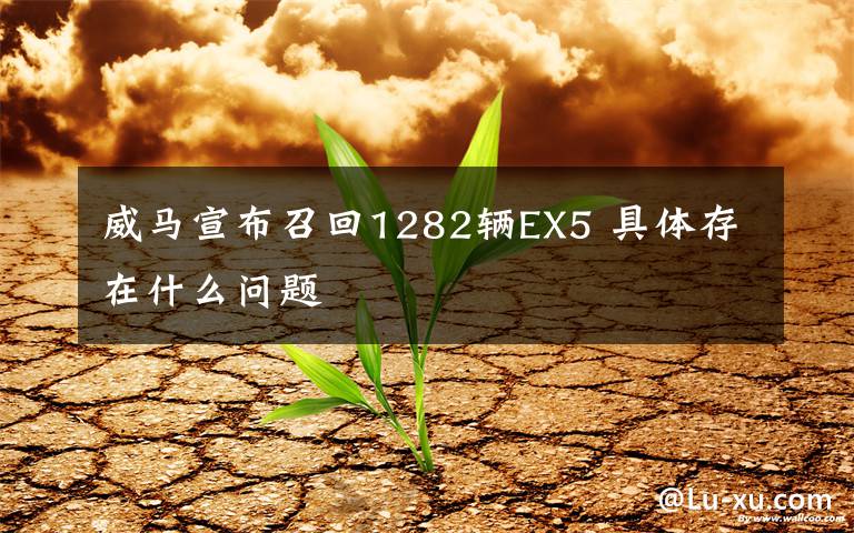 威马宣布召回1282辆EX5 具体存在什么问题