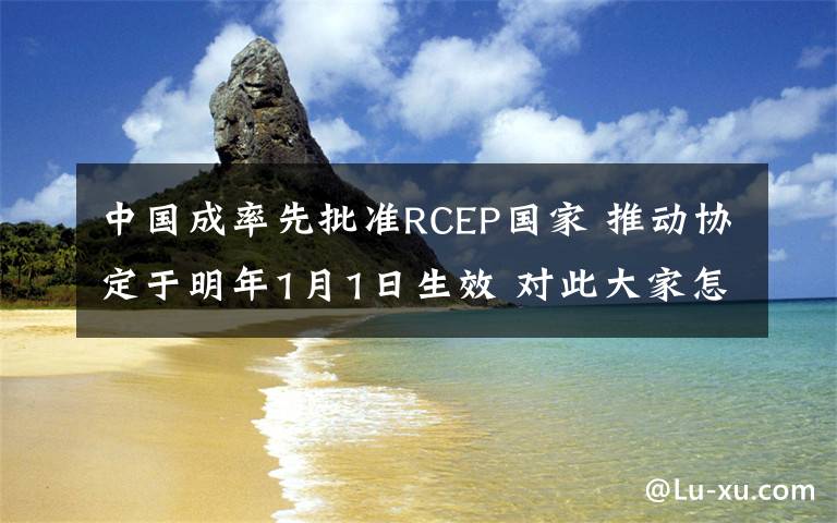 中国成率先批准RCEP国家 推动协定于明年1月1日生效 对此大家怎么看？