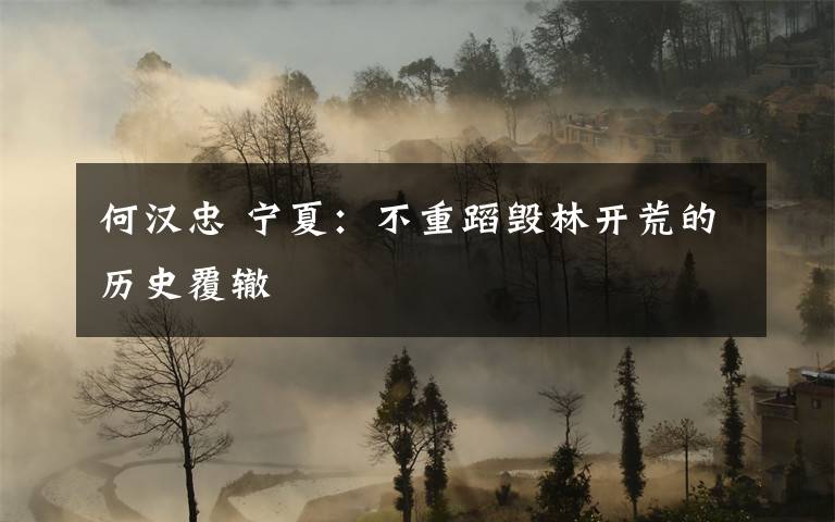 何汉忠 宁夏：不重蹈毁林开荒的历史覆辙