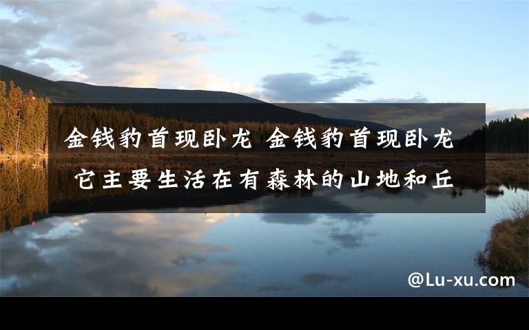 金钱豹首现卧龙 金钱豹首现卧龙 它主要生活在有森林的山地和丘陵地带