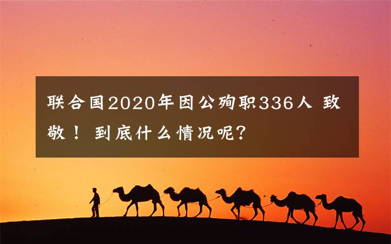 联合国2020年因公殉职336人 致敬！ 到底什么情况呢？